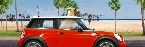 Marmaduke