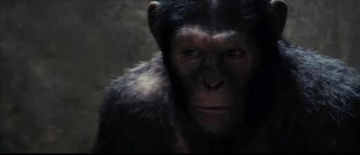 First Look At “Rise of the Planet of the Apes” Could Lead to Virals