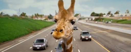 Play “The Hangover Part III” Giraffe Or Duck Video Game